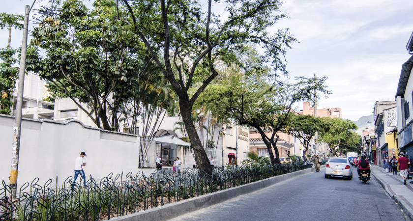 En el Centro de Medellin la calle Argentina se pone verde