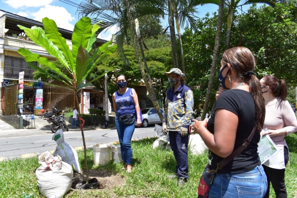 Comienza la siembra de 240 árboles por el intercambio vial de Colombia con la 80