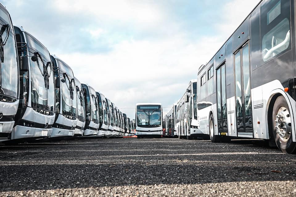 buses