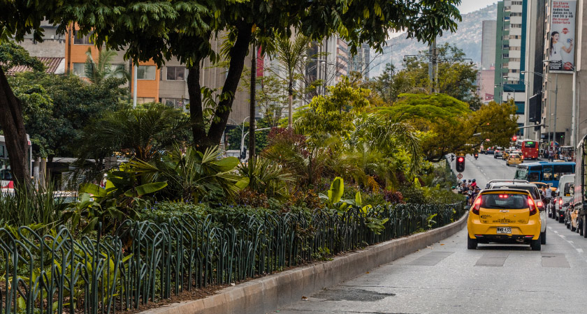 en la avenida oriental se respira un mejor aire