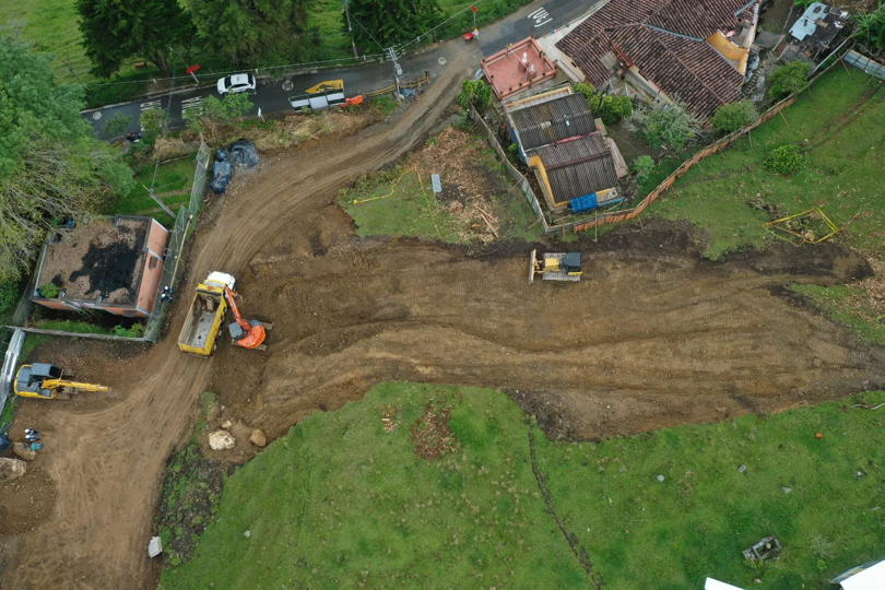 Palmitas obras