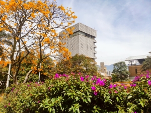 Programa de transparencia y &eacute;tica p&uacute;blica EDU