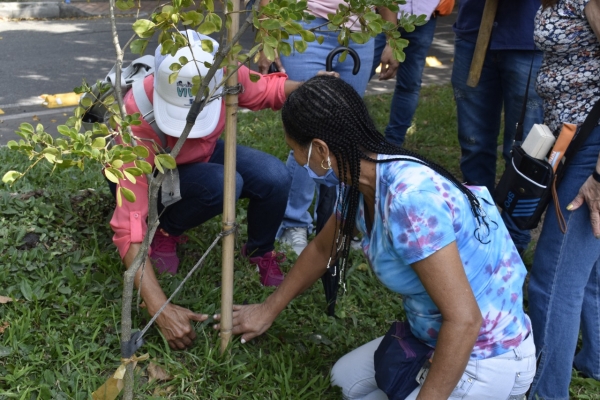 Con la siembra de más de 146 árboles avanza la compensación ambiental en el intercambio de Colombia con la 80