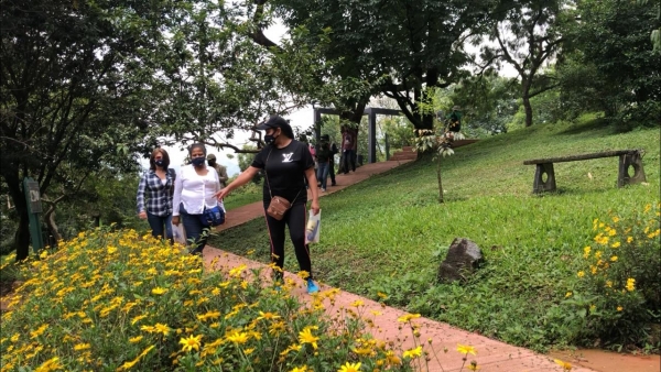 La Alcaldía de Medellín inicia la apertura progresiva del Cerro Nutibara