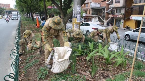 Los Corredores Verdes de Medellín reciben cuidados especiales