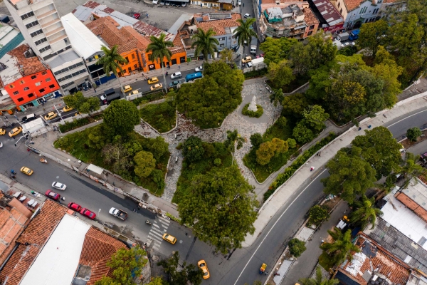 Con la siembra de nuevos árboles y jardines mejoran las condiciones ambientales en el centro